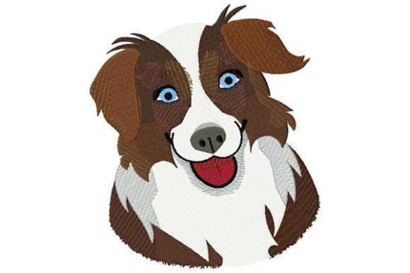 Australian Shepherd Portrait Review