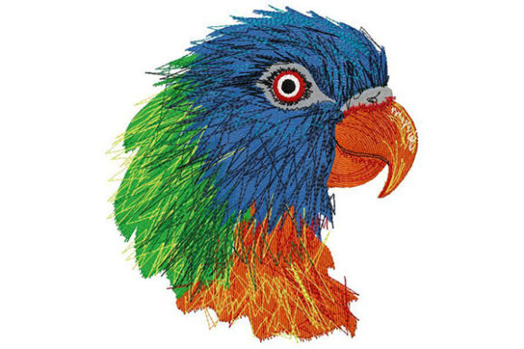 Colorful Exotic Parrot Embroidery Review